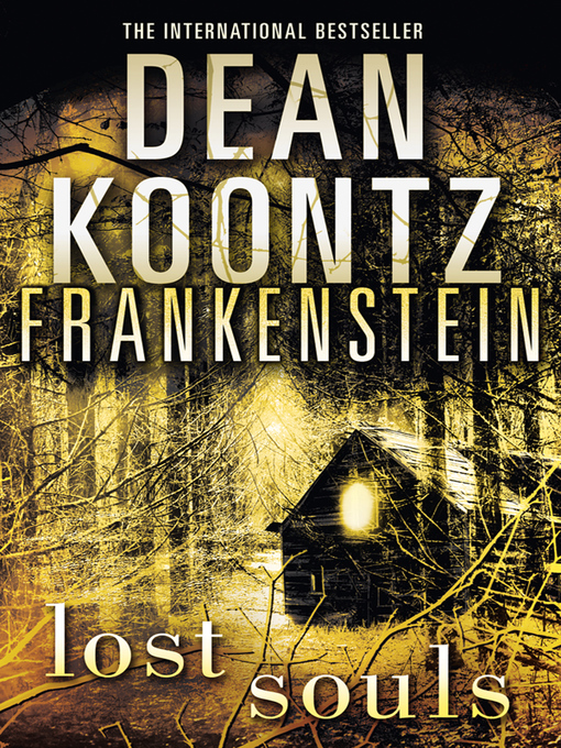 Cover image for Lost Souls